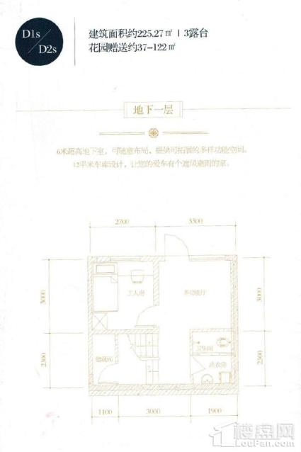 D1s/D2s户型（负一层）