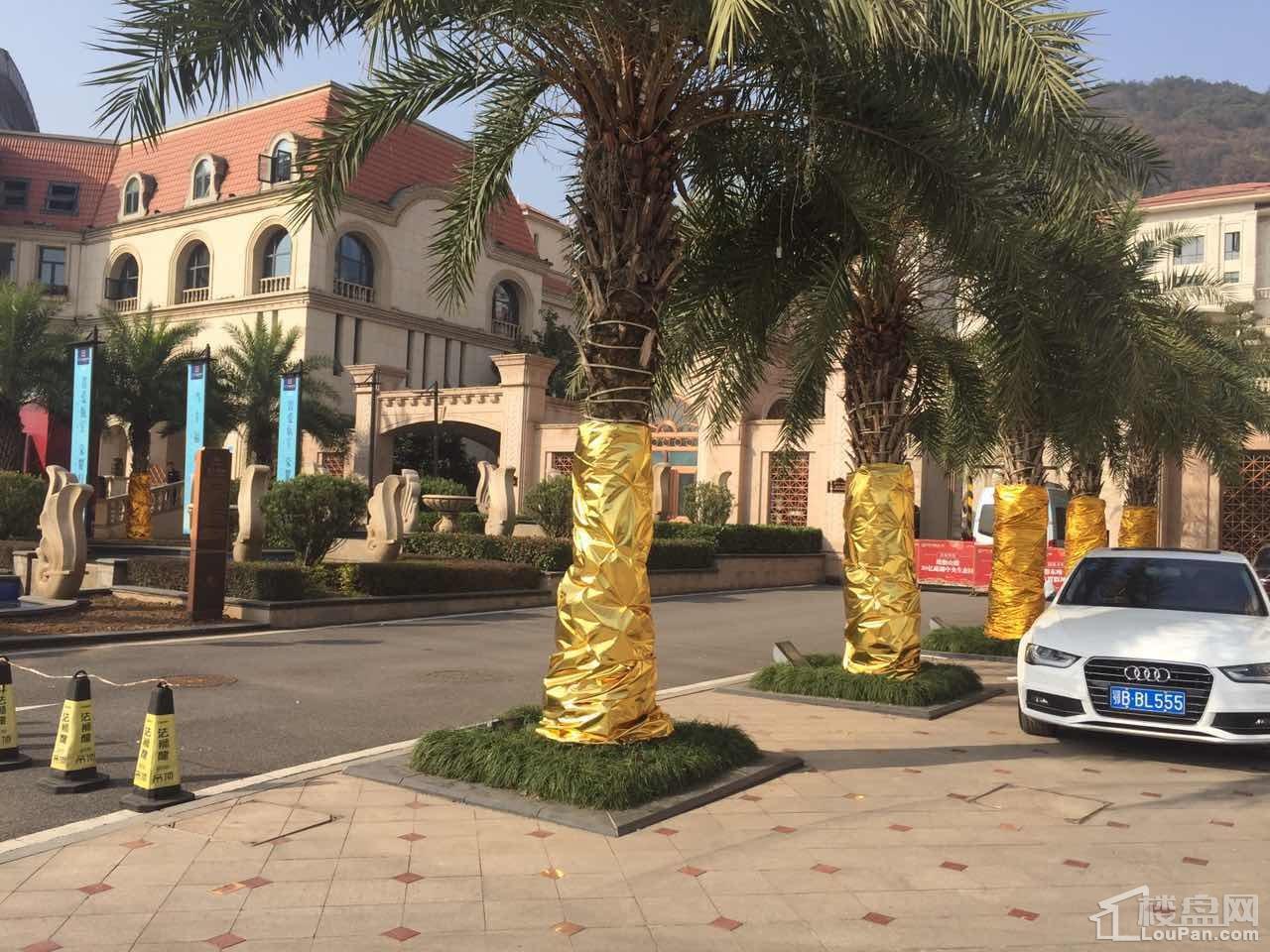 黄石仁智山水效果图