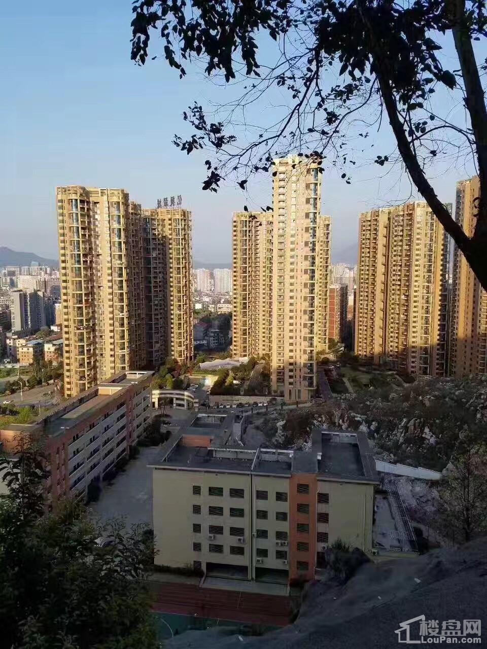 亿枫翠城实景