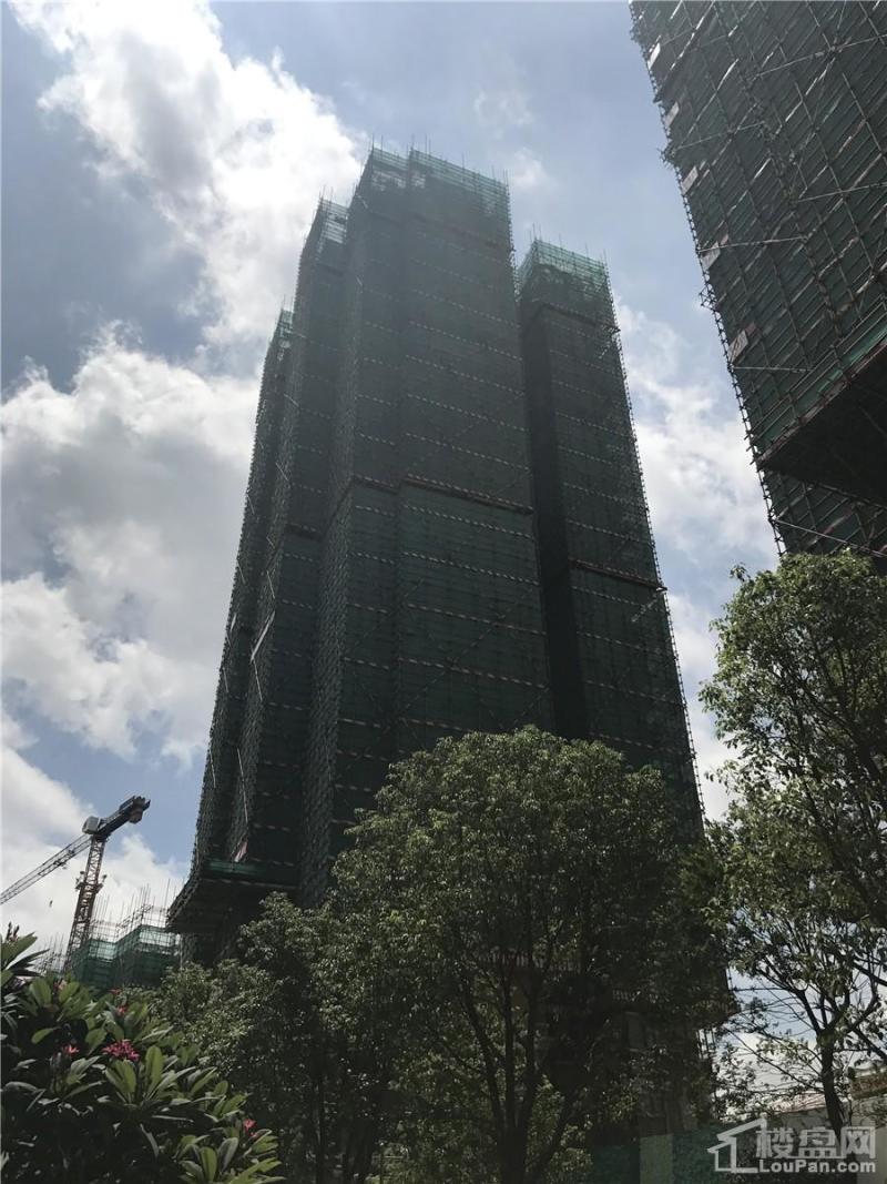 龙光玖珑府9#楼工程进度（摄于2017.6.25）