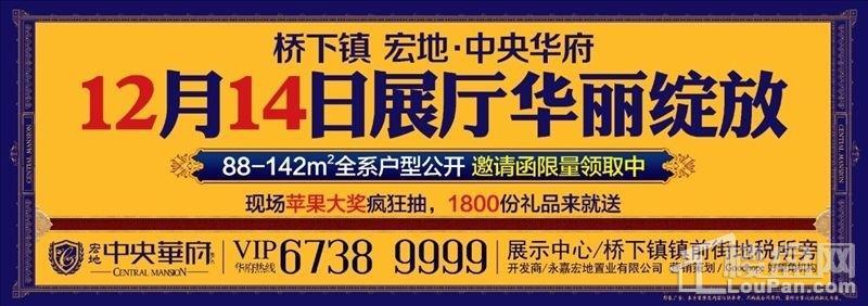 宏地·中央华府（商铺）效果图