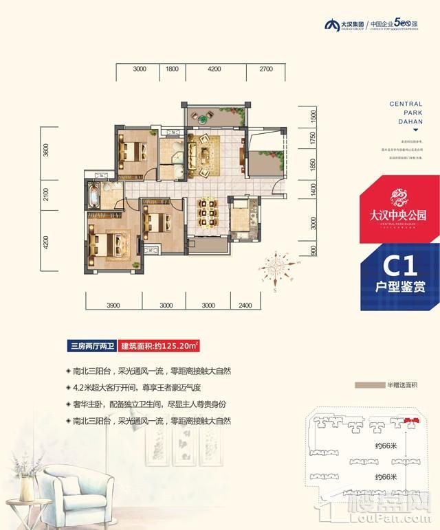 大汉新城三期c1户型