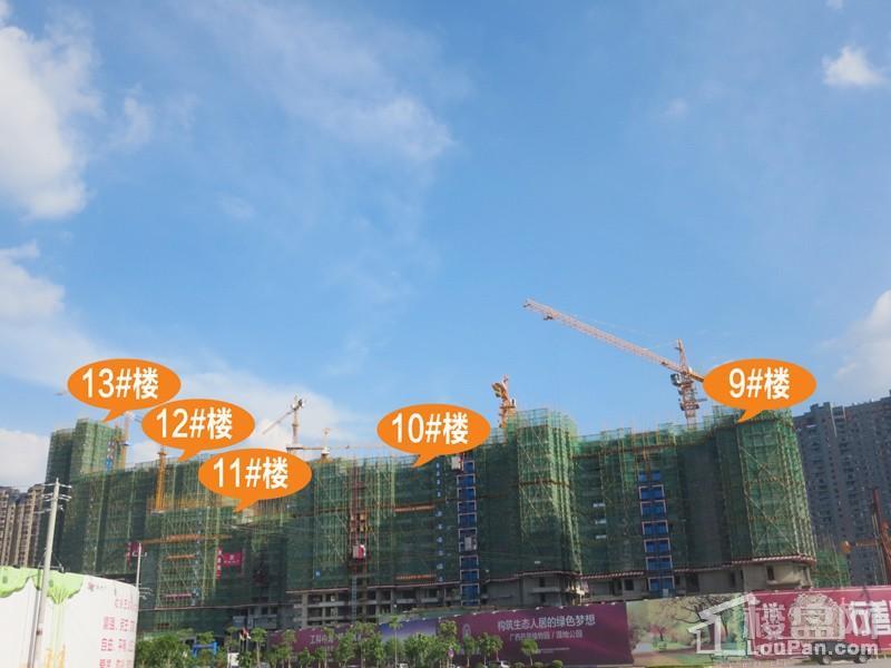 中海悦公馆工程进度（摄于2017.7）