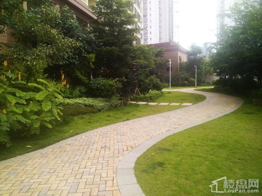 南宁宝能城市广场园林绿化（摄于2017-8）