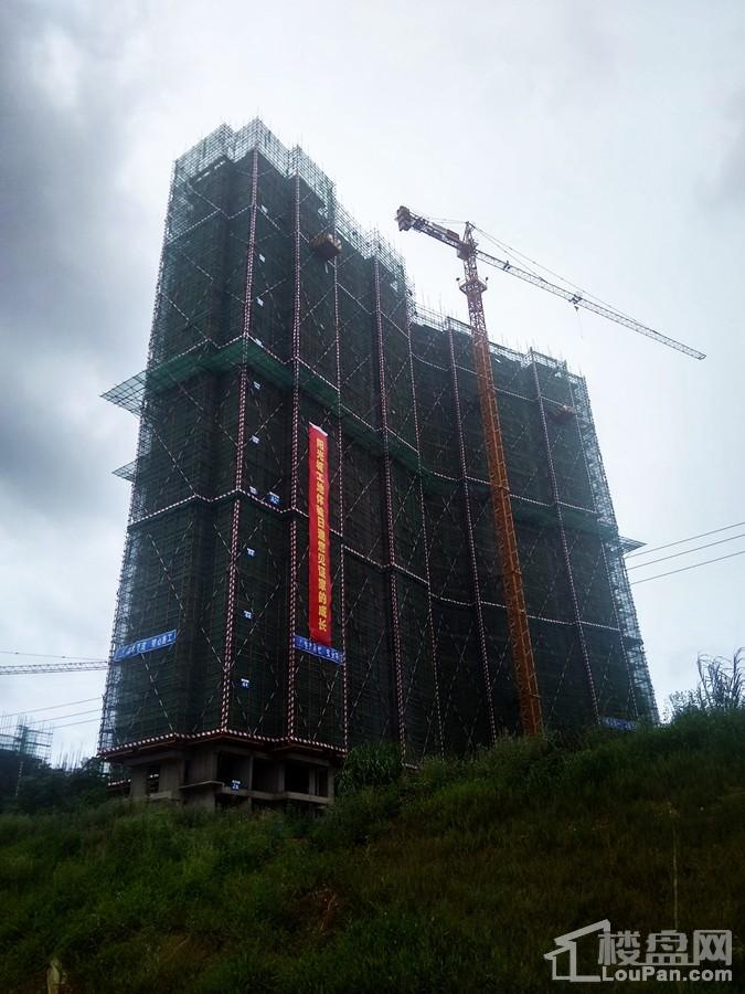 阳光城丽景湾项目建设进度（摄于2017.8.9）