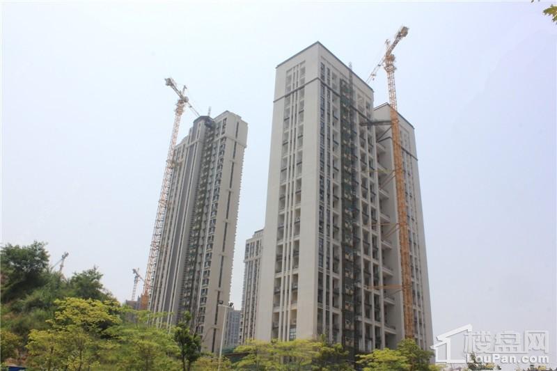 吉祥凤景湾1期楼栋已基本建成（摄于2017-8）