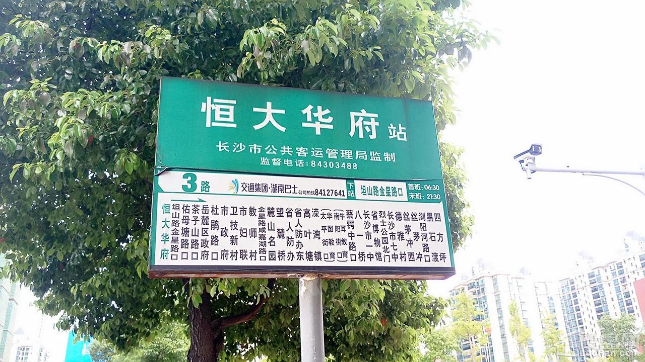 公交线路