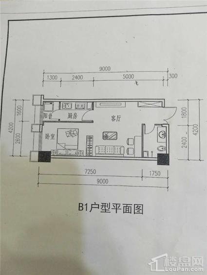 B1户型