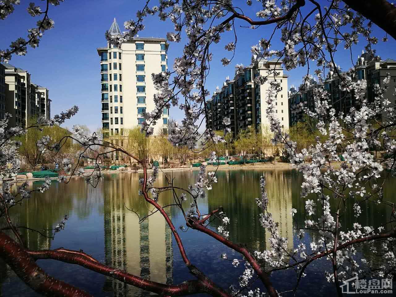 恒大帝景园林实景