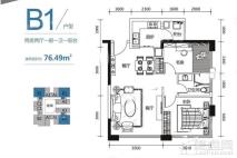 2#B1户型