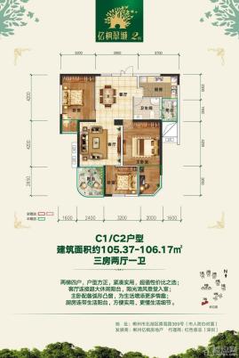 亿枫翠城7栋C1C2户型