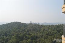 亿枫翠城小区实景