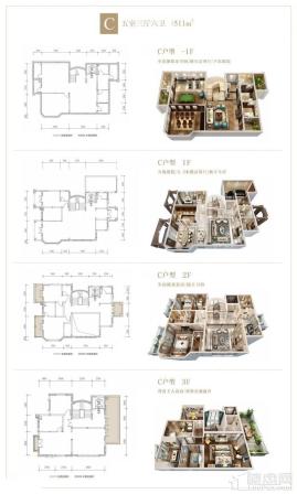 富临绵州水郡C户型图