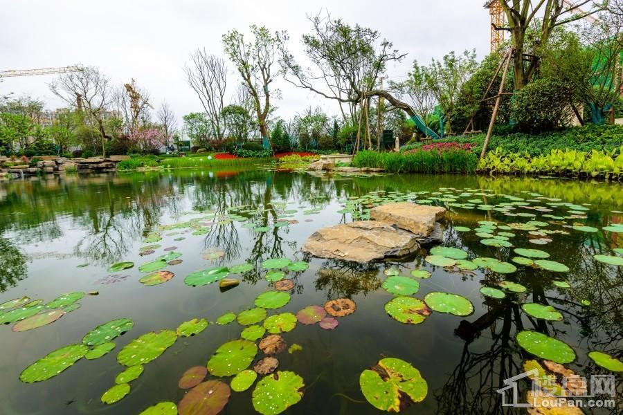 湘潭恒大书香门第 实景图片