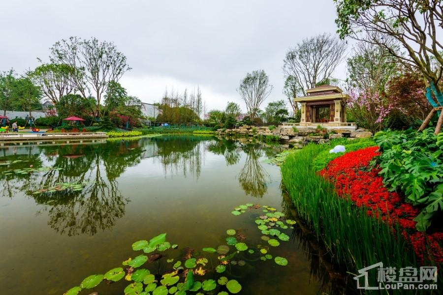 湘潭恒大书香门第实景图片