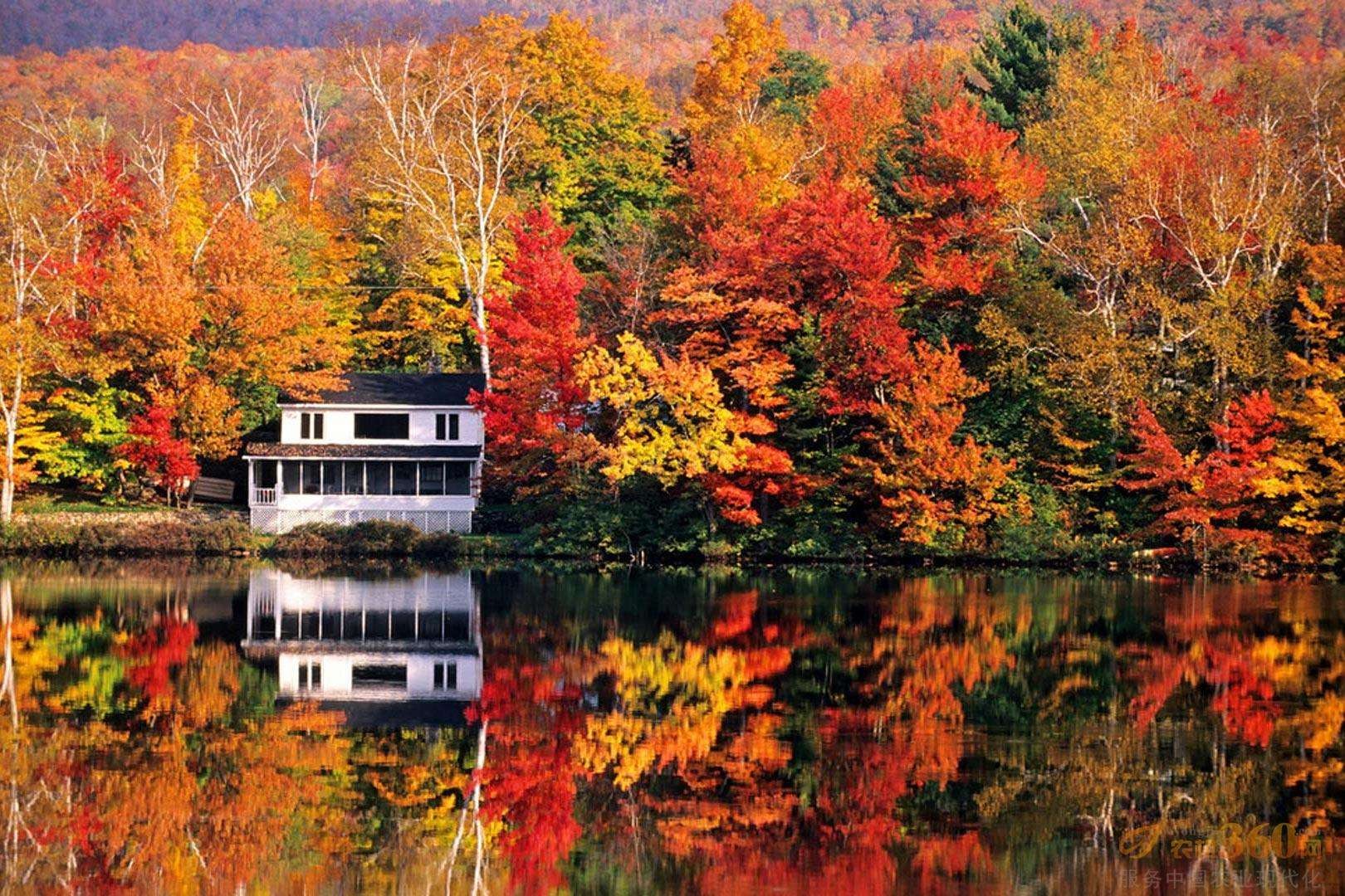 这个周末,相约十里河岸,共享diy乐趣!