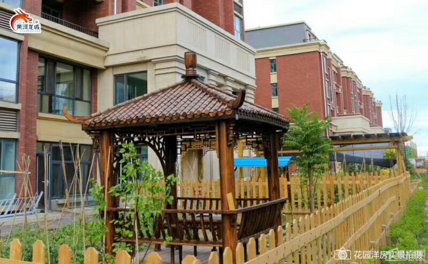 黄河龙城·半岛御境