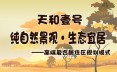 天和壹号效果图