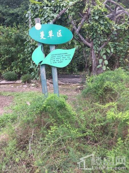 南宁绿地城周边配套之广西药用植物园