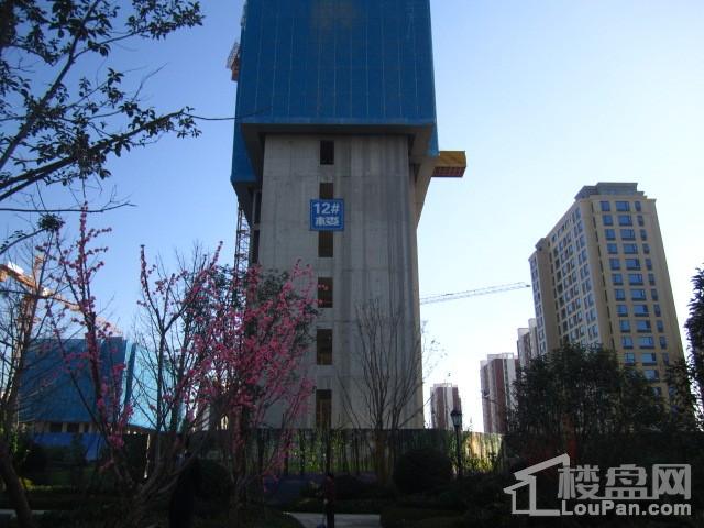 民生绿城百合新城三期锦兰园