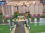 孟达国际新城售楼处沙盘