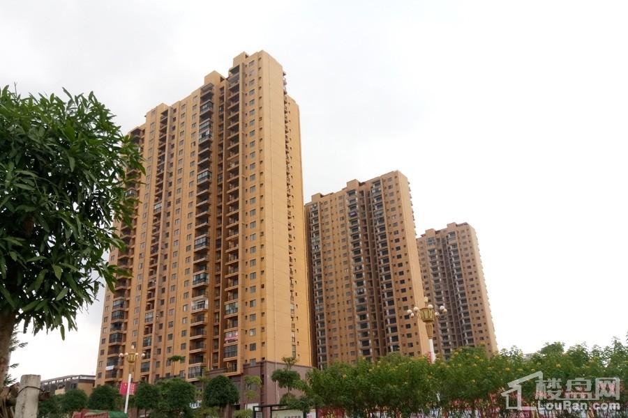 防城港四通八达国际广场小区实景图-防城港楼盘网