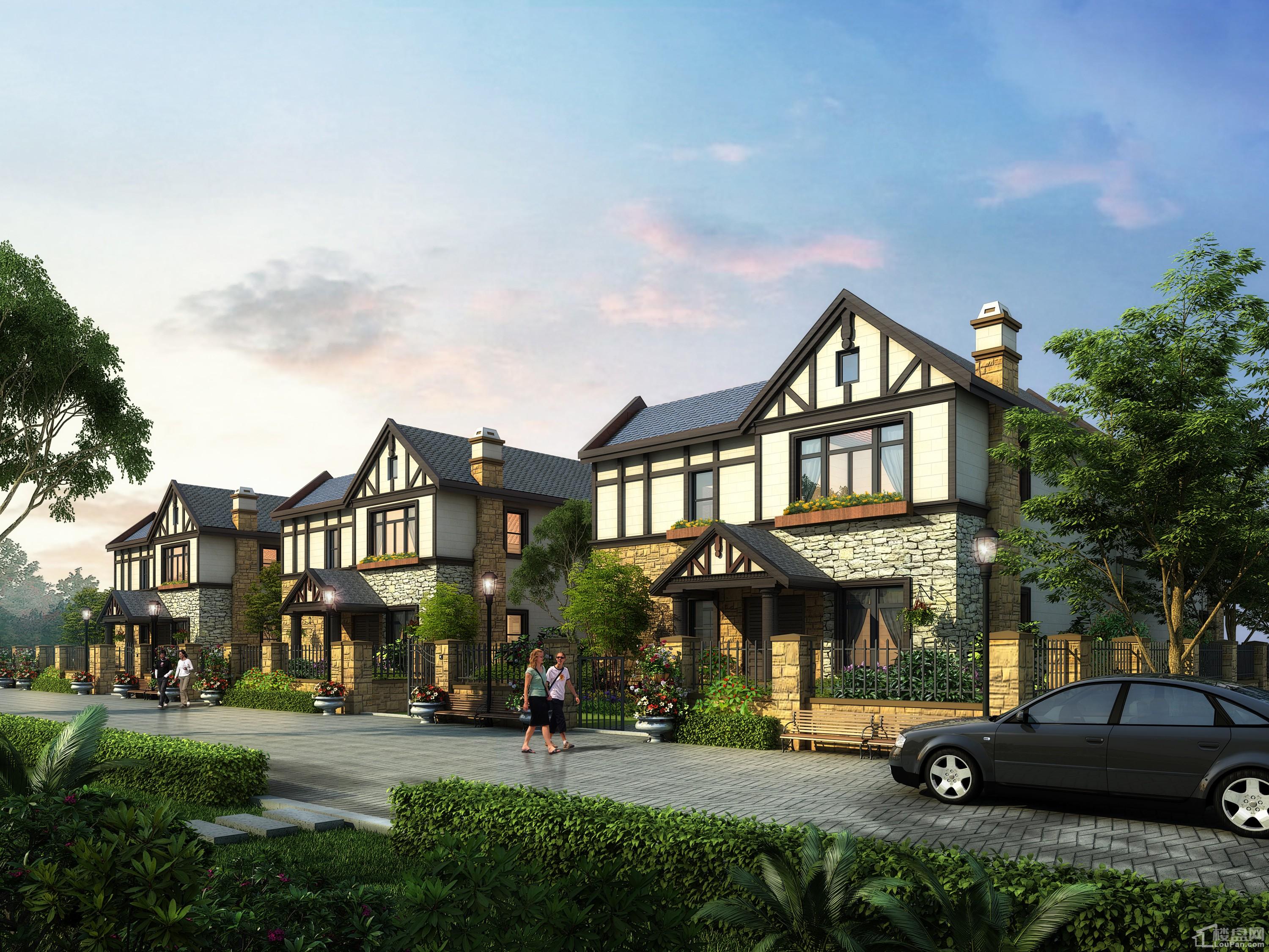 雁湖生态文旅小镇·科尔马庄园效果图_实景图_样板间_配套图_位置图