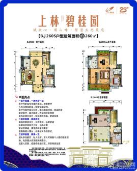 上林碧桂园BJ260S别墅户型