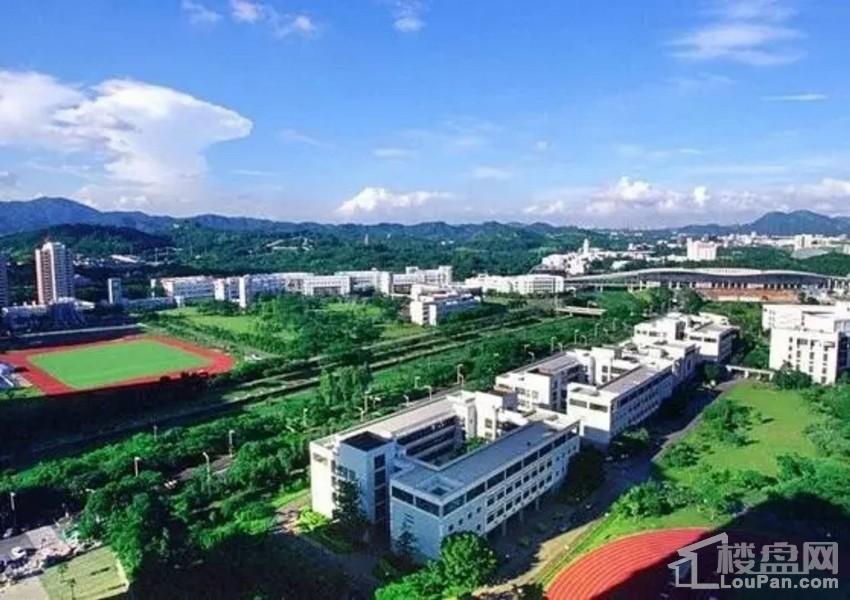 03(实景图)位于大运新城中部,香港中文大学,北理莫斯科大学已开始招生