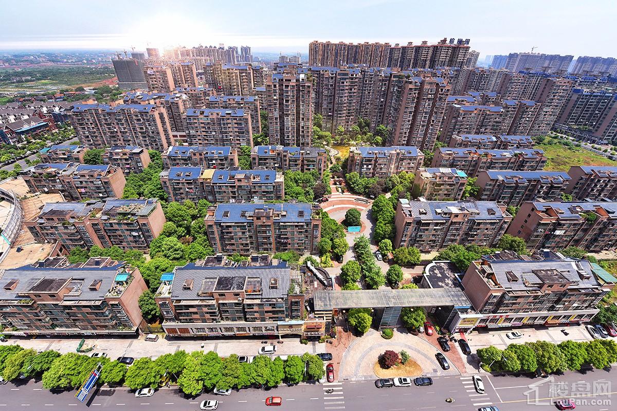 (已经完全成熟的雅士林·湘苑)