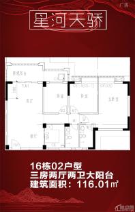 星河天骄16栋02户型