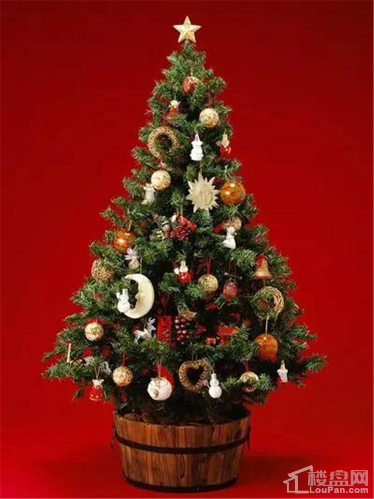 日照所有人,您有一颗圣诞树请您签收!