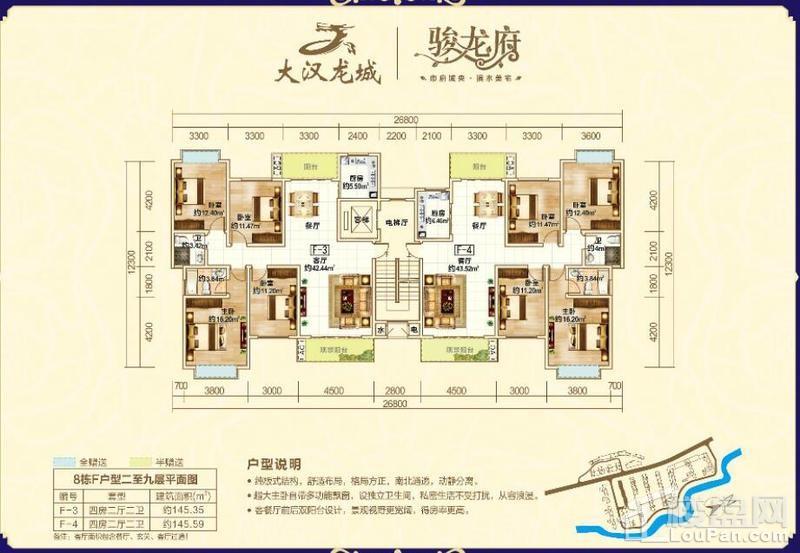 怀化新房 紫东楼盘 大汉龙城骏龙府8栋f户型二至九层平面