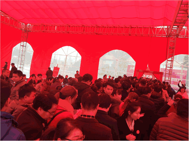 雅士林御苑四期新品耀世开盘,再获佳绩!