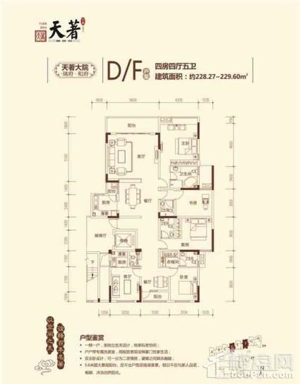 D、F户型