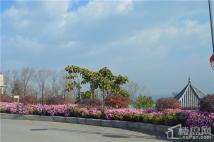 大理王宫别院悦山海实景拍摄小区环境