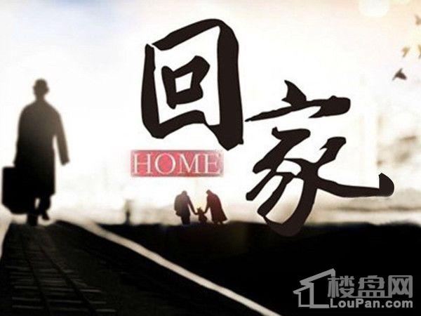 这次回家你算过真正陪伴家人的时间有多久吗