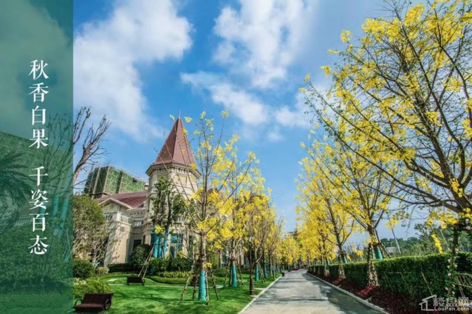 恒大帝景园林实景