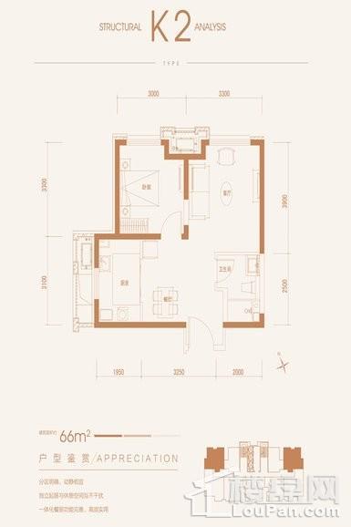 标准层K2户型