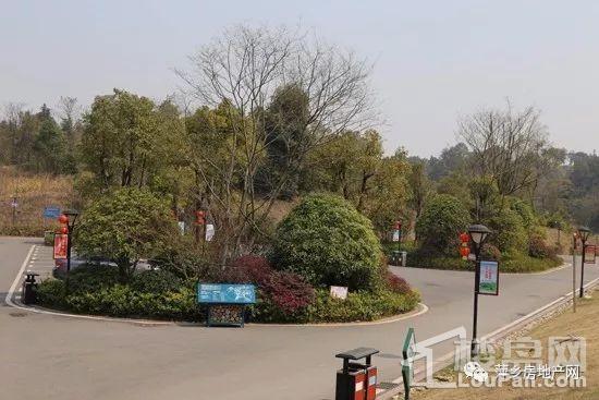 萍乡聚龙公园具体位置图片
