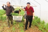 潼南梅家村支部书记刘琪林带领村民建起土地入股专业合作社—— “风险我担当，大家一起富”