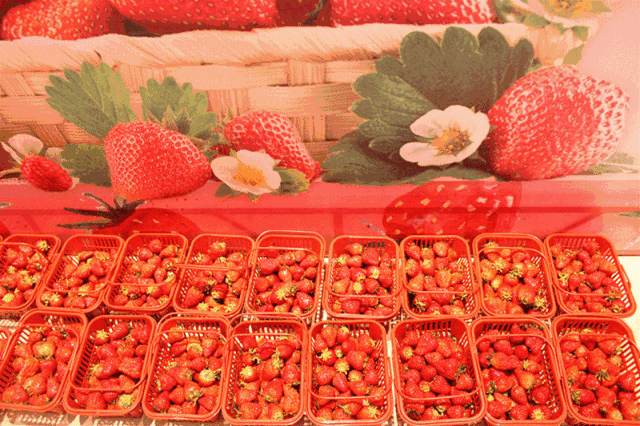 640_426gif 动态图 动图