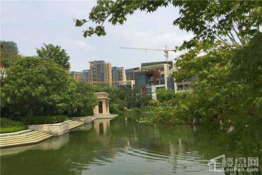 星雨华府实景图