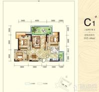 绵阳春天里C1户型图