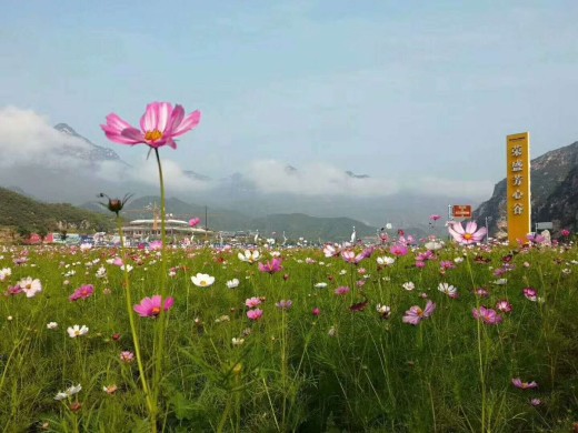 荣盛康旅·四季童话小镇效果图