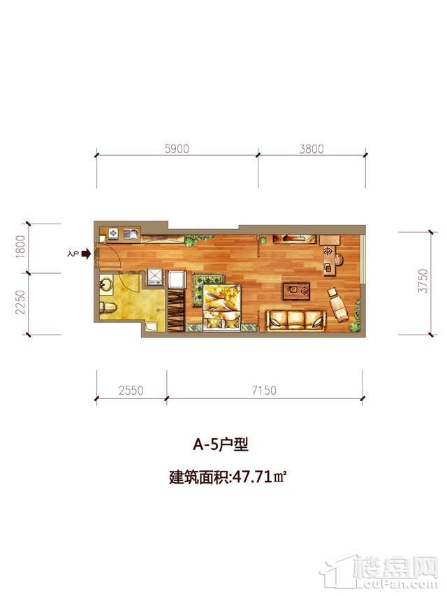 A-5户型