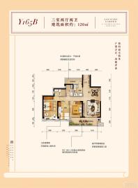 碧桂园·南平府Y165B户型图