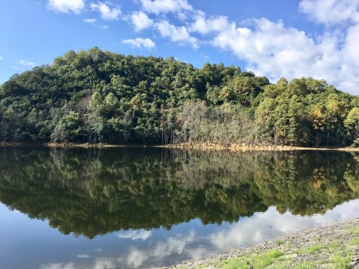 凤凰保集·伊甸园实景图