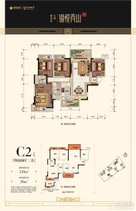 新希望·大唐·锦悦青山1/5#楼C2户型