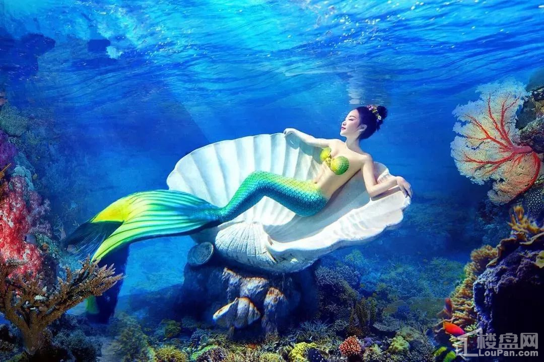 颍上富力城首届海洋展带你嗨翻天